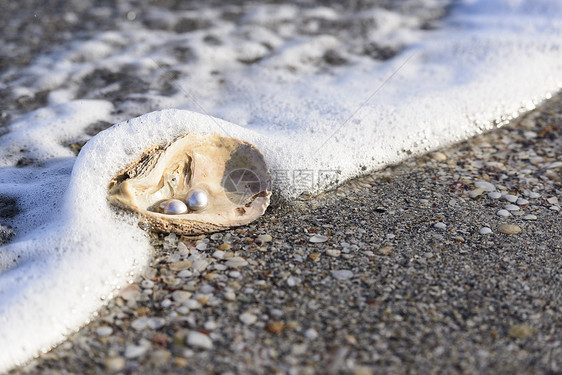 澳大利亚珍珠类旅行纪念品假期奢华经济牡蛎海洋宝石装饰品文化图片