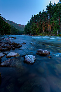 Altai Krai在清晨拍摄河水图片