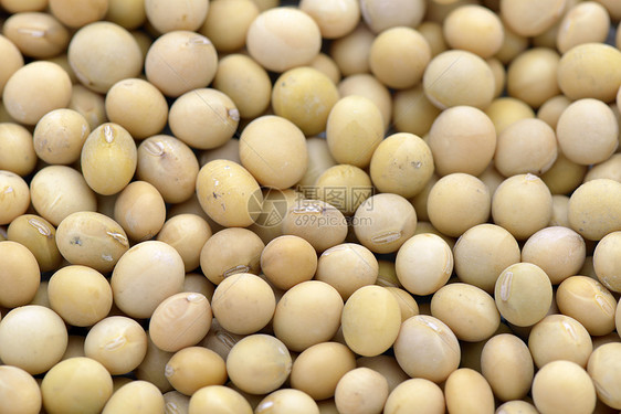 黄豆豆类蔬菜生产纤维白色黄色饮食食物特写种子图片