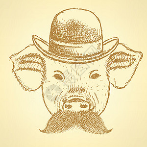 装有芥末 矢量背地的草皮猪墨水投球艺术先生绅士服装财富动物插图绘画图片