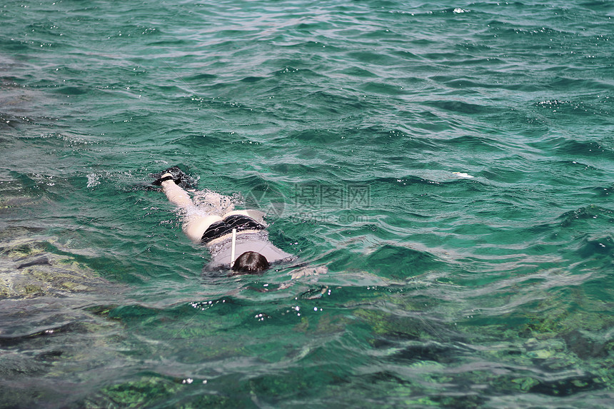女摄影师潜水进入红海水相机海洋女性潜水员游泳浮潜波浪脱水海浪照片图片