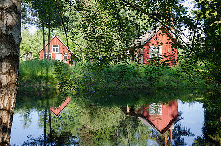 红色农村家庭 通过池塘上的分枝反映出来花园建筑别墅乡村季节蓝色木头全景叶子树木图片