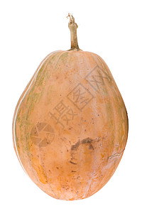 卡拉巴什南南瓜蔬菜浆果葫芦橙子白色南瓜图片
