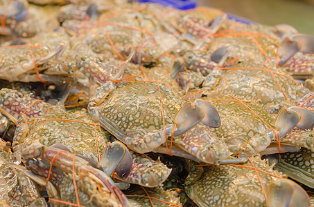 新鲜螃蟹花蟹美食动物海鲜市场甲壳蓝色食物图片