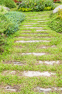 花园里的路路面植物通道公园人行道场地小路叶子绿色图片