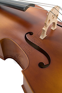 低动大提琴象弧木头乐器音乐家音乐会小提琴音乐古典音乐中提琴工作图片