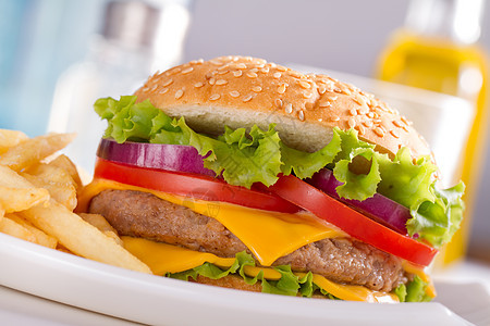 吃快餐 汉堡和法式薯条在盘子里种子沙拉小吃芝麻土豆筹码牛肉芝士包子食物图片