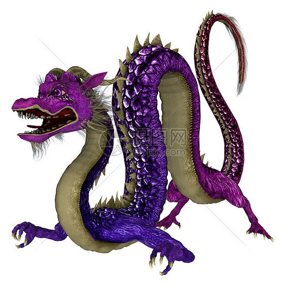 东龙生物白色传奇十二生肖动物紫色插图尾巴艺术神话图片