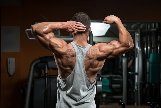 完美的比塞普斯胸部健身房力量年轻人重量腰部健康意识身体男性图片