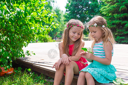 快乐可爱的姑娘们在公园享受夏日游戏幸福姐妹情感紫丁香童年头发喜悦压痛女性幼儿园图片