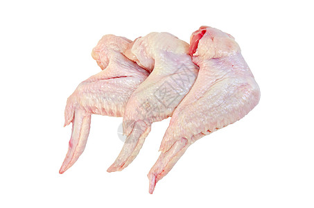鸡翅白色翅膀家禽营养水平皮肤饮食图片