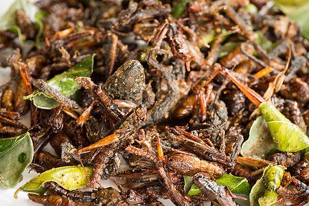 与绿石灰叶混合的可炸食用昆虫情调异国美味蚱蜢幼虫产品毛虫营养热带市场图片