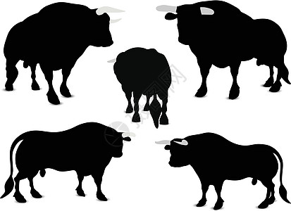 公牛休月奶牛动物宠物点燃艺术夹子插图卡通片绘画数字化图片