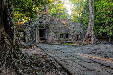 太阳升起在太光的上空遗产文化崇拜纪念碑寺庙高棉语丛林石头日出日落图片