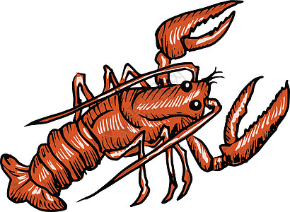 龙虾煮沸草图卡通片美食插图红色爪子贝类烹饪手绘图片