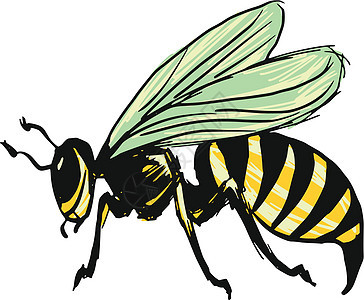 黄蜂黄色夹克宏观昆虫荒野草图蜜蜂条纹卡通片黑色图片