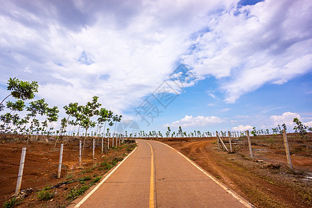 通向天空的公路乡村场地绿色晴天墙纸地球花园树叶植物叶子图片