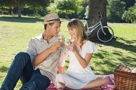 可爱的情侣在野餐上喝白葡萄酒毯子浅色男性篮子感情农村男朋友酒杯快乐阳光图片