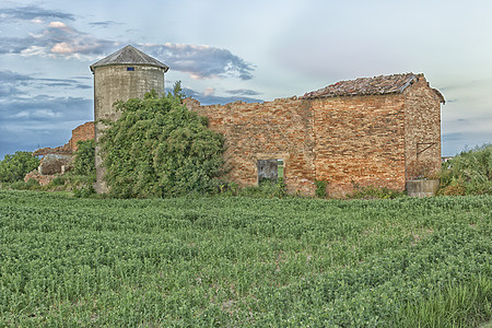 意大利农村被毁坏的农户住房耳朵天空家园植物老家废墟老房子绿色农业小麦图片