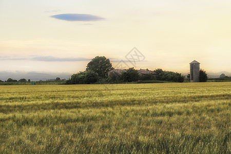 意大利农村被毁坏的农户住房小麦老家废墟农业老房子粮仓谷仓绿色天空黄色图片