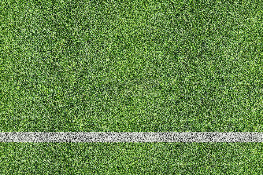 体育场和运动场橄榄球场土地白线单线面积草地足球场足球植物运动图片
