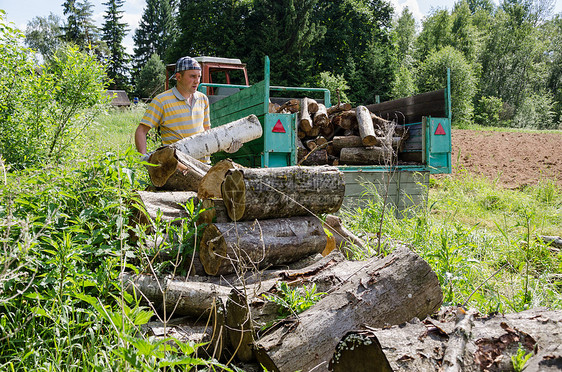 拖拉机拖车中伐木工人搬运树木图片