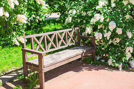 美丽的花朵和木制长椅的花园和木板国家园艺绿色植物公园退休座位草地登山者石头英语图片