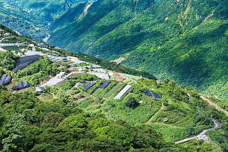 台湾青京农场图片