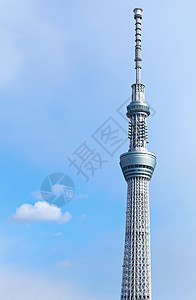 蓝背景上的花东京天空树 对清蓝的天空背景