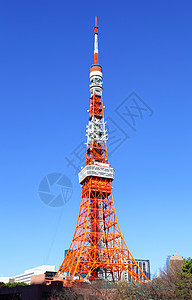 阳光明媚的东京塔图片