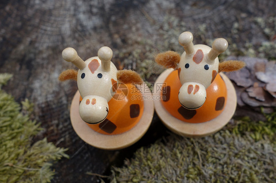 玩具长颈鹿朋友们橙子生物耳朵石头快乐棕色哺乳动物喜悦幸福图片