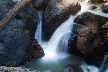 水瀑荒野石头环境植物森林苔藓绿色岩石公园运动图片