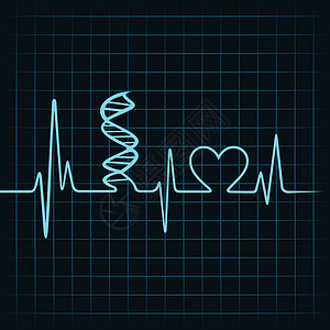 心跳让DNA站立 心脏象征着传动矢量图片