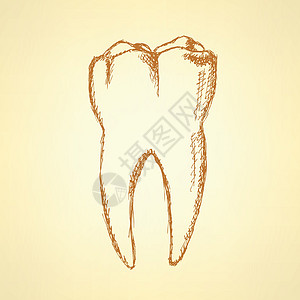 延缩牙齿 病媒历史背景艺术微笑绘画凹痕牙科草图卫生牙医药品插图图片