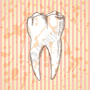 延缩牙齿 病媒历史背景磨牙牙科疼痛插图卫生牙医微笑墨水草图搪瓷图片