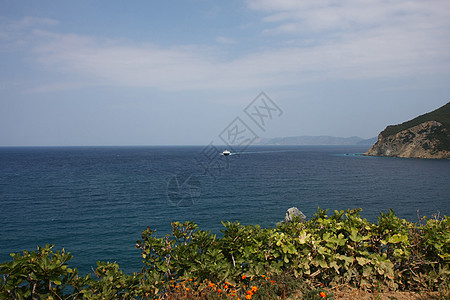 渡轮旅游花朵悬崖地平线渡船假期海岸蓝色海景图片