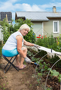 一名老年妇女在花园中从事除草工作图片