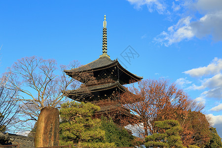 五层寺庙 春天五层塔 京都 日本遗产世界历史天空蓝色建筑宝塔图片