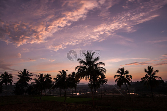 日落后美丽的天空和棕榈树周光图片