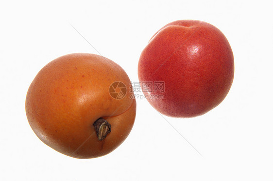 与世隔绝的饮食营养黄色水果桃子油桃食物杏子小吃红色图片