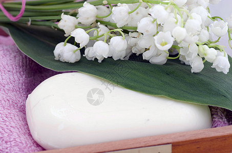 斯帕瓦河谷毛巾 肥皂和百合板礼物商品药品瓶子芳香女性疗法奢华产品叶子图片