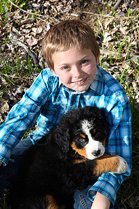 男孩和小狗休息绿色棕色伴侣场地朋友白色动物哺乳动物孩子图片