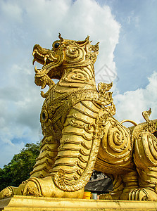 狮子雕像寺庙晴天蓝色天空背景图片