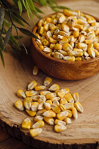 谷物 喂食玉米皮植物庄稼画幅玉米水平饲料黄色物体种子谷类背景图片