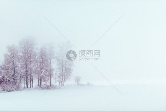 冬季湖边薄雾野生动物树木团体辉光季节池塘堤坝戏剧性图片