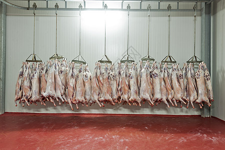 屠宰场饮食猪肉生食食物肉类替代饮料肋骨食品红肉图片