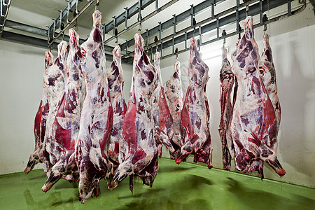 屠宰场肉柜猪肉生食红肉兽骨肉类动物食物牛肉替代图片