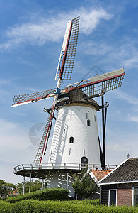 古老的磨坊 在荷兰地方克洛丁图片