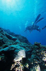 珊瑚礁潜水海洋热带气泡蓝色异国太阳情调探索岩石冒险图片