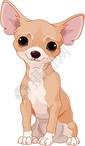 奇瓦亚州婴儿快乐犬类插图小狗艺术艺术品幸福绘画卡通片图片